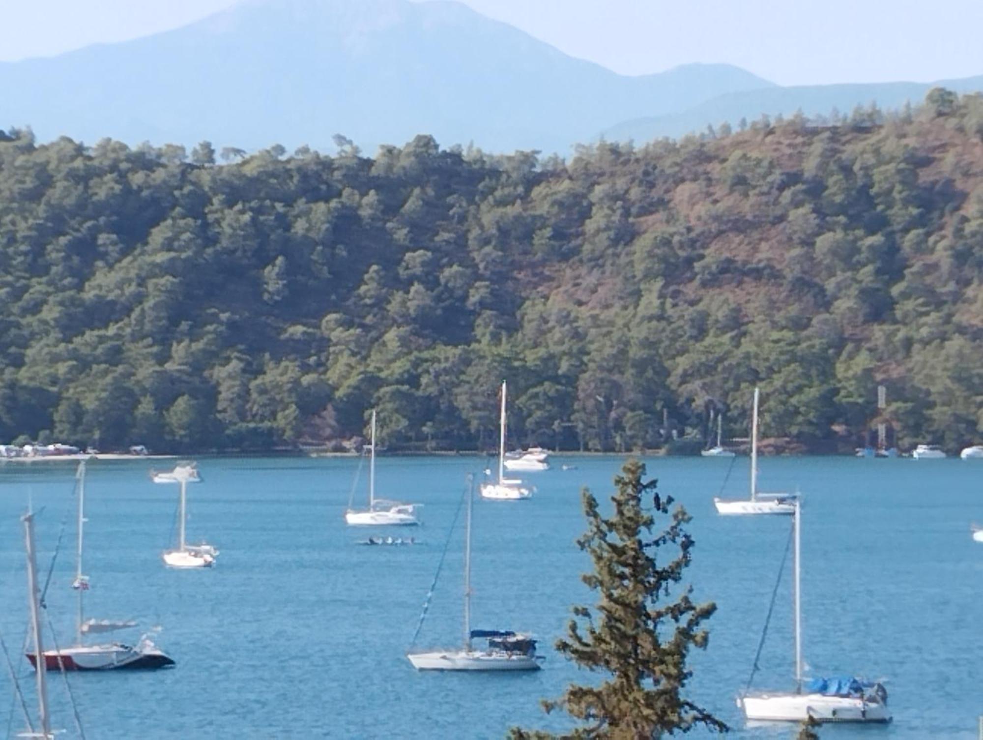 Duygu Apart Spellbinding Sea Views Фетхие Номер фото